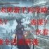 【完结】【合集】黑暗之魂3咒术师新手向攻略解说 本体+DLC