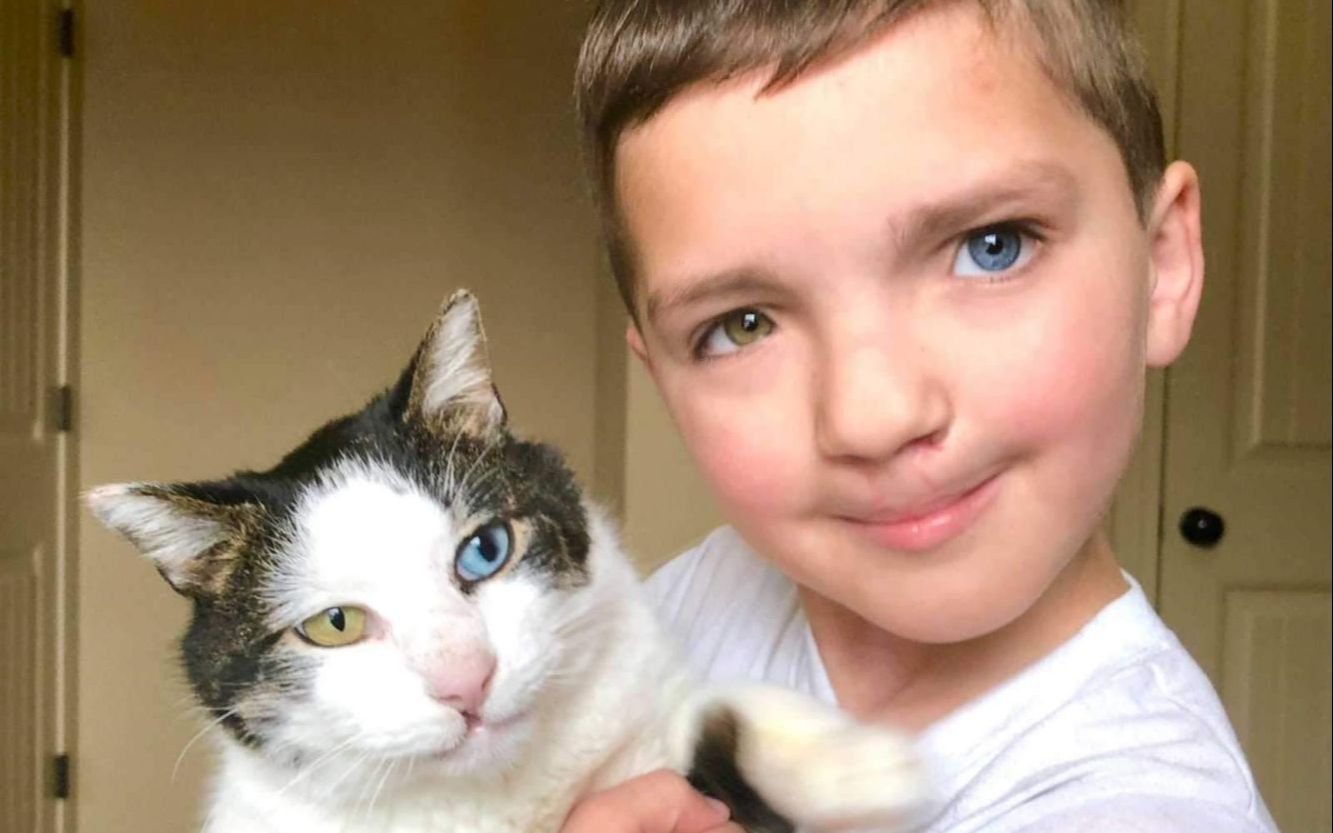 美国7岁男孩因为异瞳和兔唇受霸凌 他收养了异瞳兔唇猫咪 成为心灵伴侣