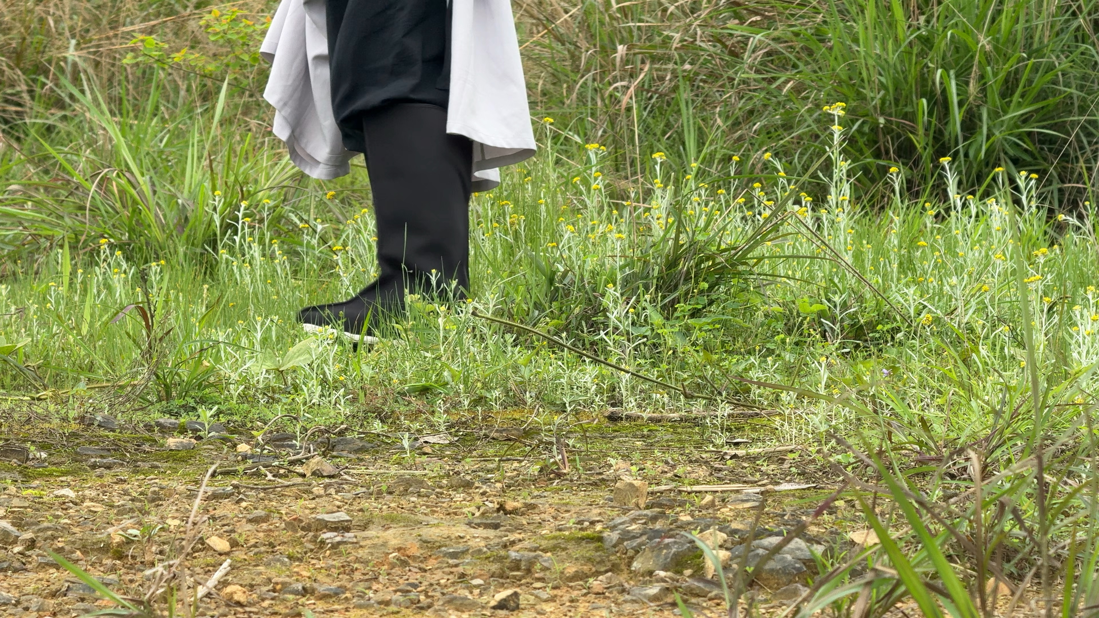 路边的野花轻轻踩