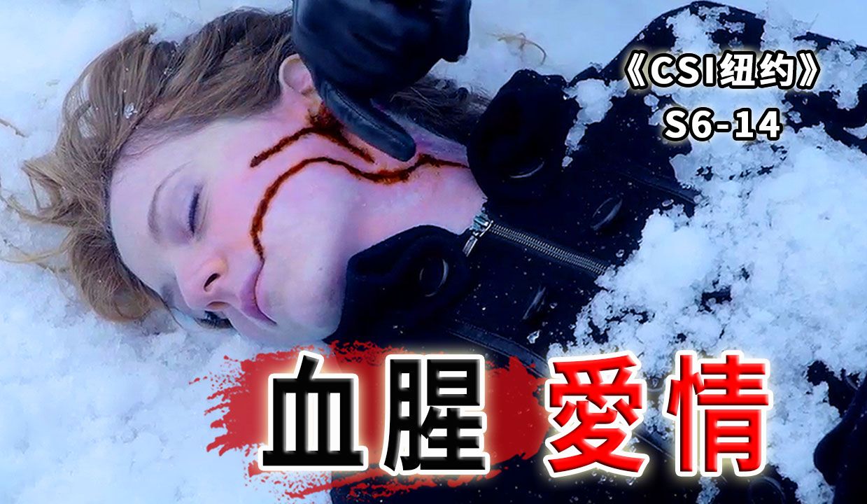 血与雪的交融，惨死雪夜的女孩.奇葩的信仰，艰难的爱情《CSI纽约》S6-14