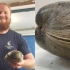 男子海边挖出2.4斤重蚌蛎狂喜，拿去鉴定年龄大吃一惊：不敢吃了