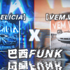 ⚡️【融合音乐】｜🔥"当巴西funk遇到巴西funk"🔥｜"Vem Vem x DIA DELÍCIA"