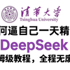 【DeepSeek教程】清华大佬终于把DeepSeek给讲明白了，全程干货无废话，新手小白也能轻松玩转AI