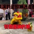 醉狮表演全过程，弘扬华夏优秀传统文化传承舞狮醒狮表演