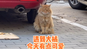 acd5e455d9367293104add809db501ed4df2b4ab.jpg@280w_158h_1c_100q.jpg