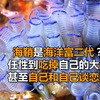 海鞘吃自己大脑，和自己恋爱，就算是海洋富二代，也难逃吃货的嘴