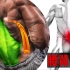 腰背疼痛康复训练：6个动作强化下背部肌肉力量缓解下背疼痛