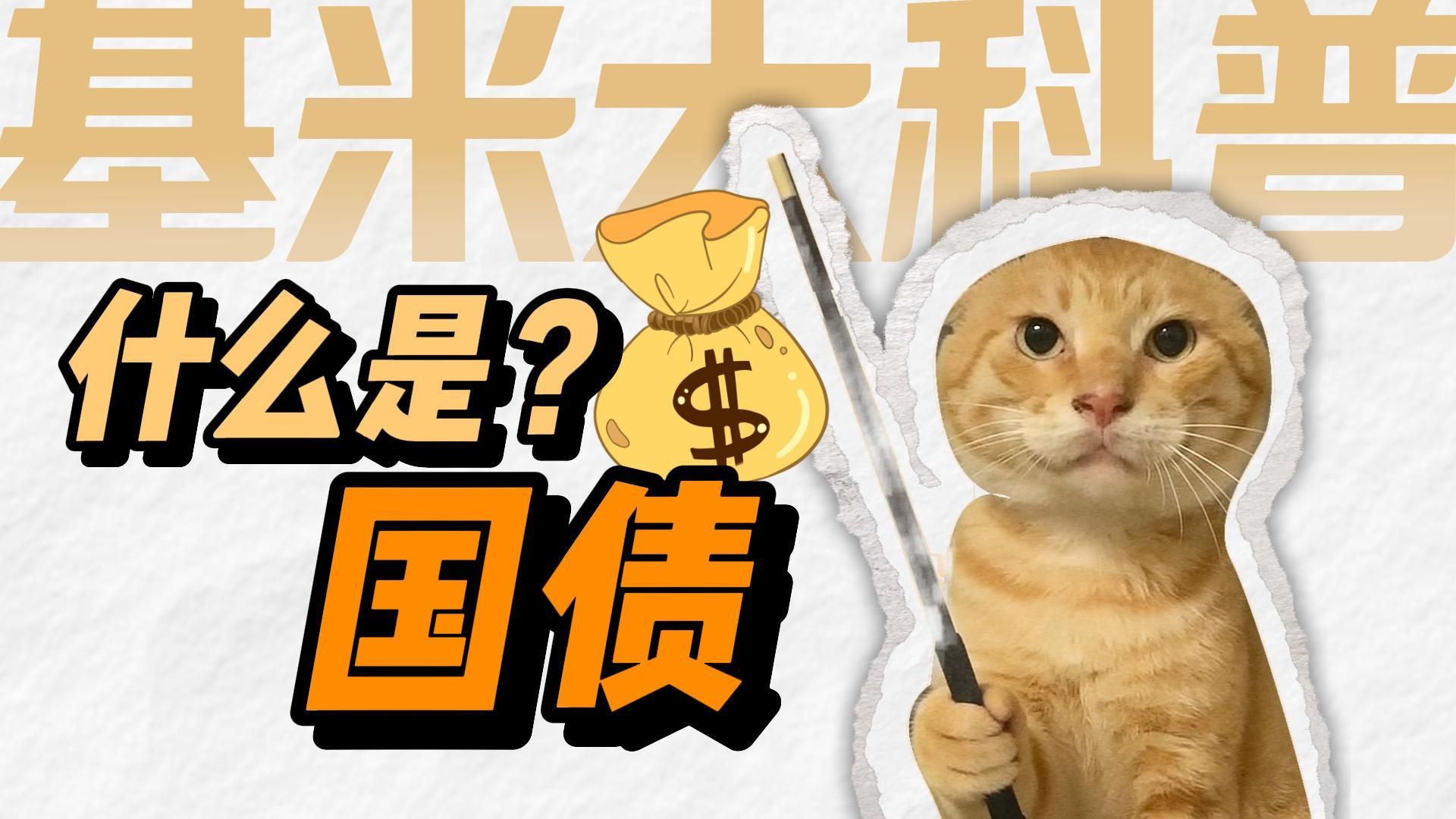 什么是国债？