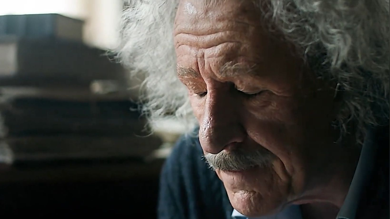 最后爱因斯坦的大脑被偷了，分成了很多份，淘宝上全是一分钱买到《天才》