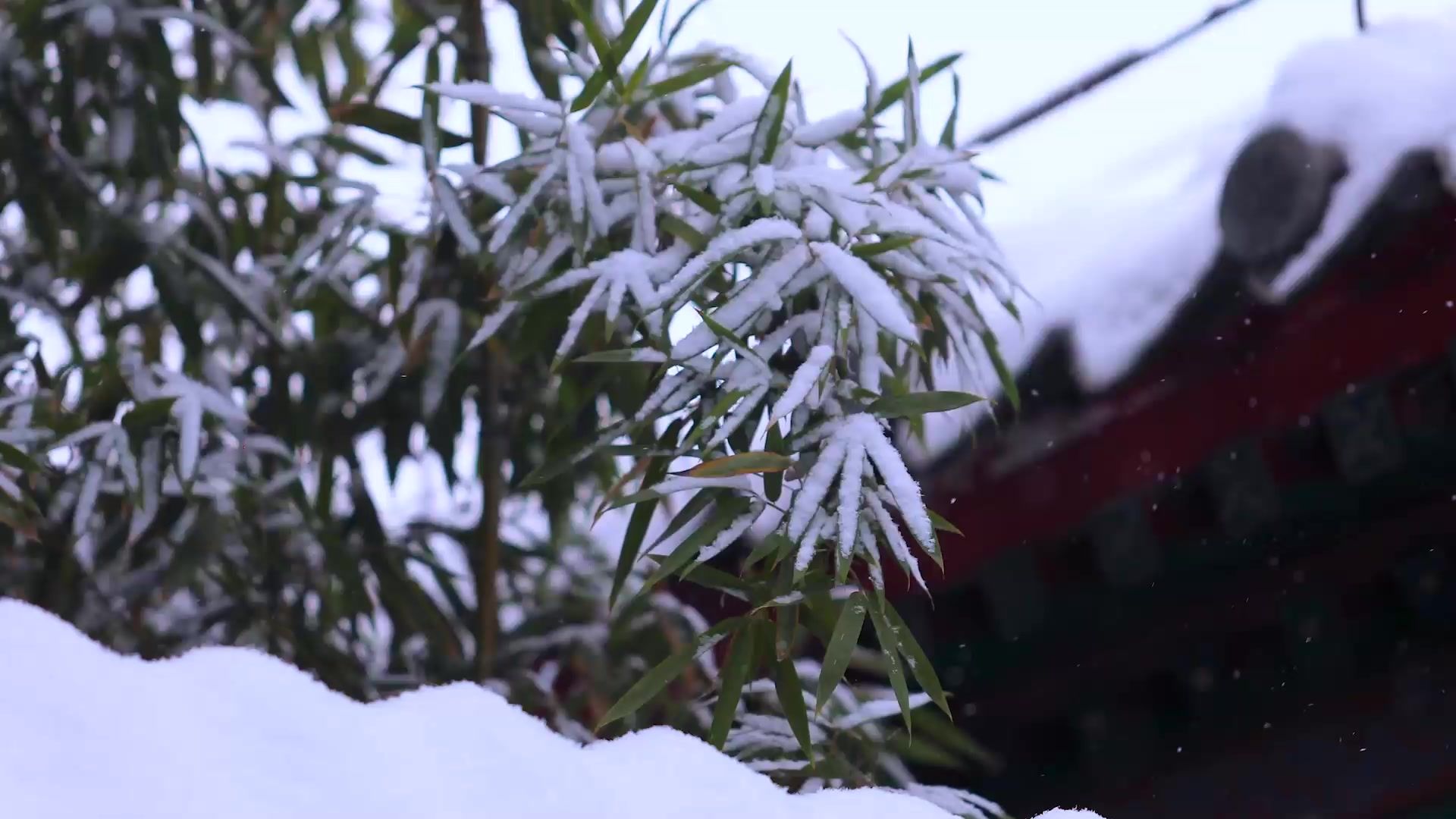 冬日冬季城市下雪天雪景意向空镜实拍高清视频