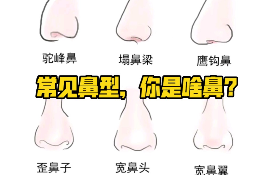 常见鼻子鼻型，看看你是什么鼻子