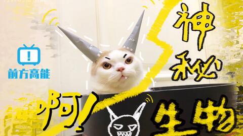 怎么才算是天才 ad285e200b41f4478785b81d2858fd38eb9b6ada.jpg@480w_270h_1c