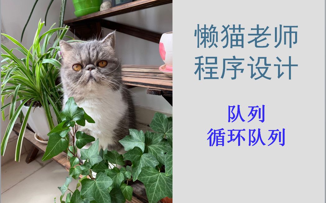 懒猫老师-数据结构-(10)队列(循环队列)