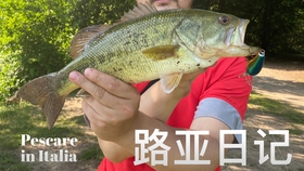 工具鱼推荐测评 ad519ea4b3182cfb33fc9c7c6bb7dc5f4745d83a.jpg@280w_158h_1c_100q.jpg
