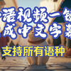 最强最全的字幕生成器，支持所有语种，免费一键使用