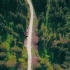 航拍森林公路风景视频素材