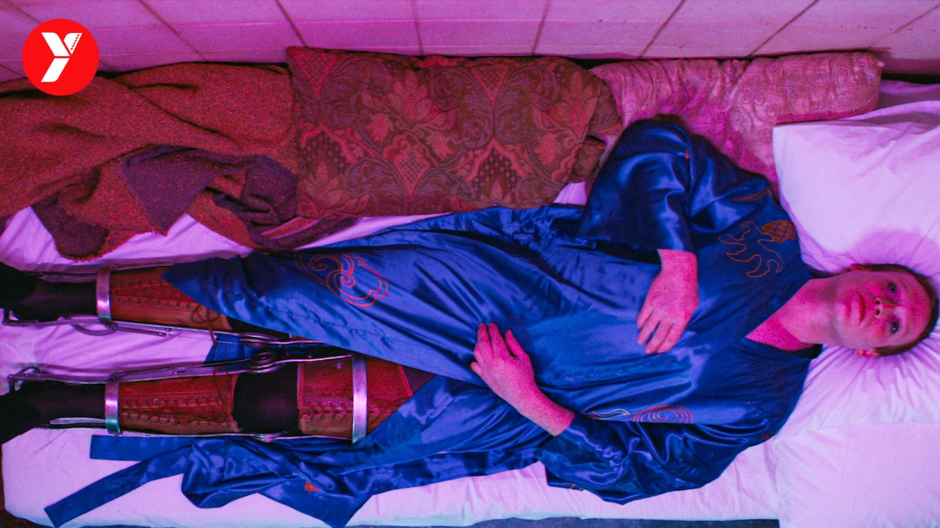 【越哥】被关在狗笼4年的男孩，出来后，他成了狗界的神！