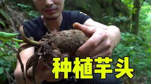 野外求生技能知识 ad83f6a583dfcf08d8f32e49358f50dbf9b921c6.jpg@310w_174h_1c_100q.jpg