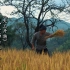 记录《天工开物》古代水稻的一生过程，实现禾下乘凉梦