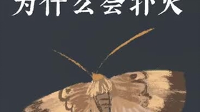 飞蛾扑火打一字是什么 adb7eccf1e3b438470873350869273a782e89695.jpg@280w_158h_1c_100q.jpg