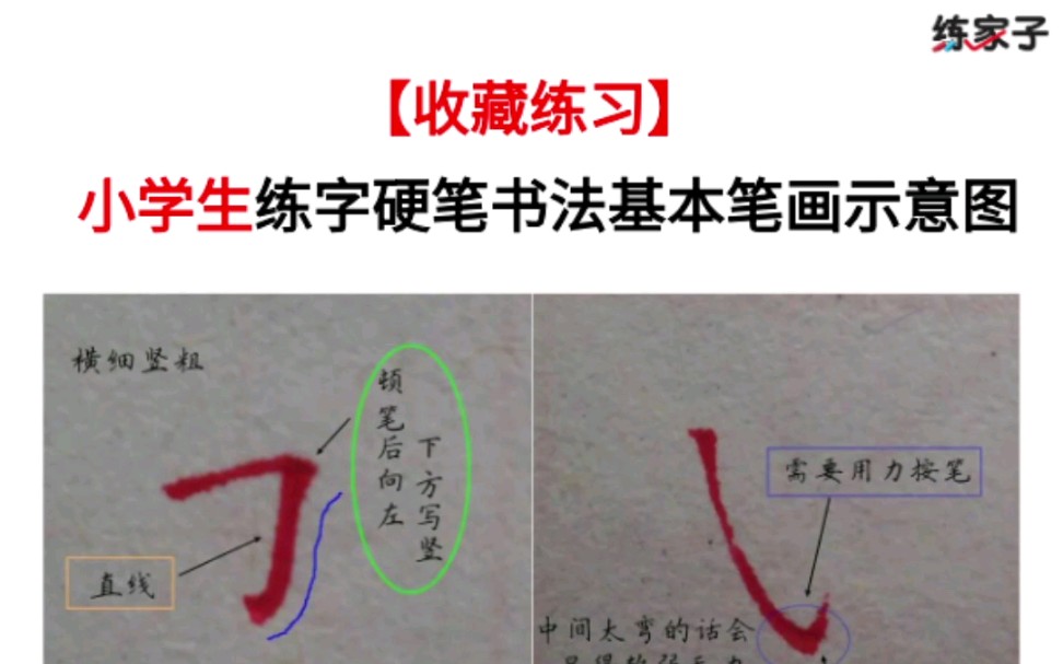 收藏练习小学生硬笔书法基笔画示意图 硬笔书法 小学生 练字 哔哩哔哩 つロ干杯 Bilibili