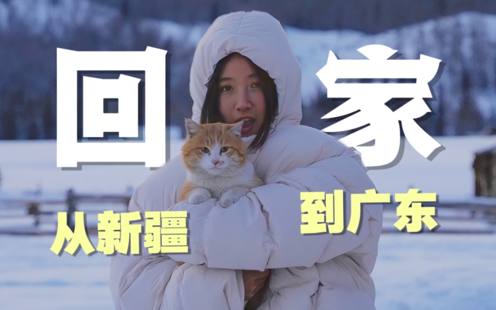 逃离零下20度：小猫，咱们回家吧｜我在新疆捡了只猫