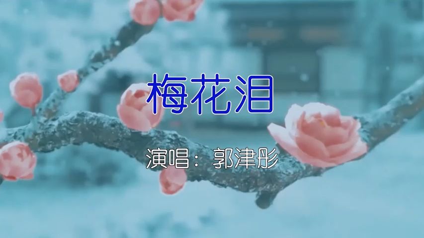 郭津彤 - 梅花泪 (Live)-如需伴奏主页搜索或私信 KTV卡拉ok歌曲伴奏字幕视频#LED显示屏高清背景视频#伴奏完整版