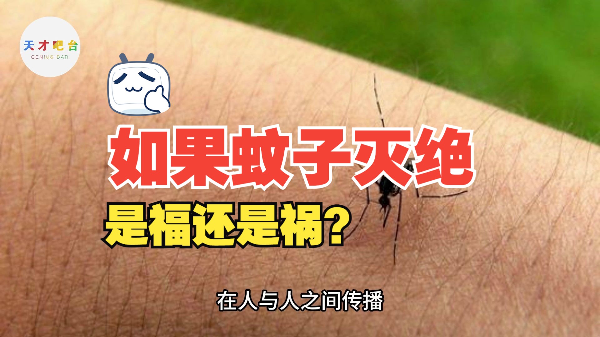 如果蚊子灭绝了会发生什么