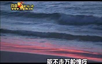 豫剧伴奏喜庆曲谱_喜庆头像(3)
