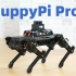 开源ROS机器狗PuppyPi Pro玩转SLAM建图导航！