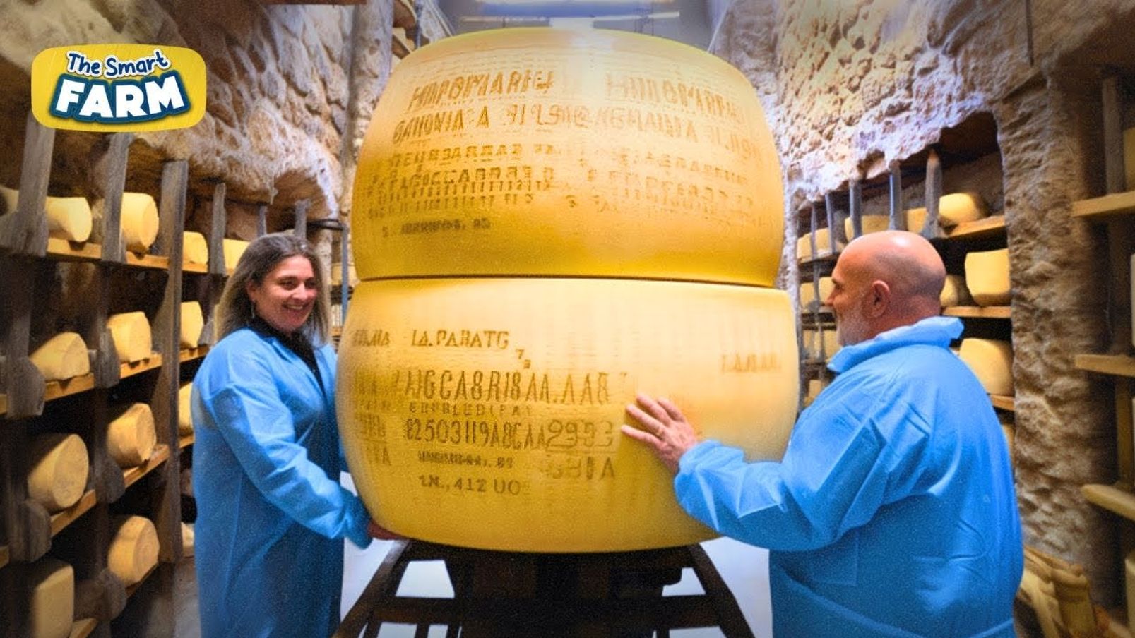 探索帕尔马干酪的制作之旅：从牛奶到美味的干酪的过程