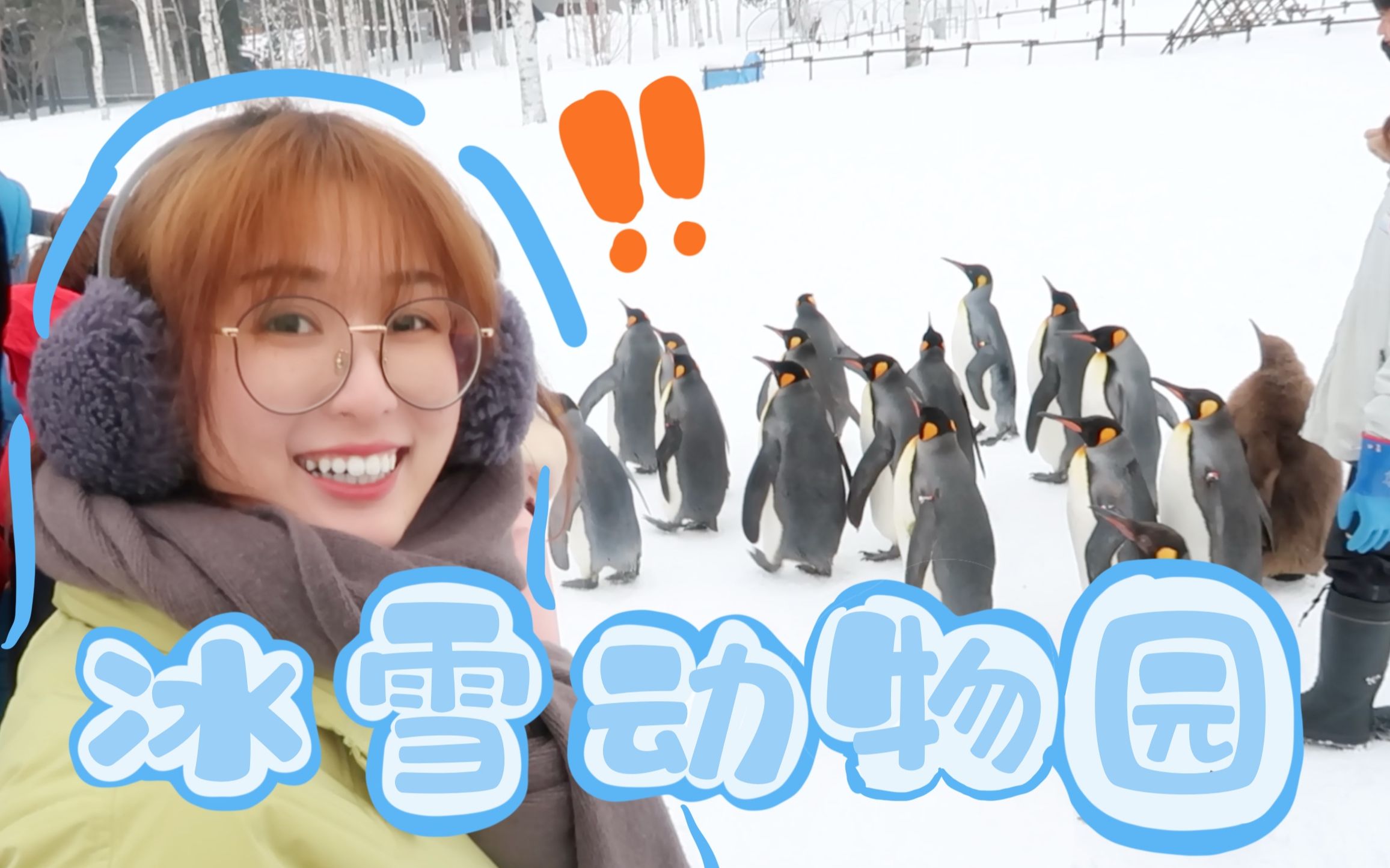 北海道的企鹅被迫游行！雪国旭川动物园vlog～【nya酱】
