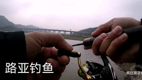 ae3a2f001c8511ad3d34c9fa11e019b3ebd5e55c.jpg@280w_158h_1c_100q.jpg