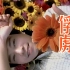 【1080P修复】邰正宵 -《俘虏》MV(无字) 1997 (江祖平出演)