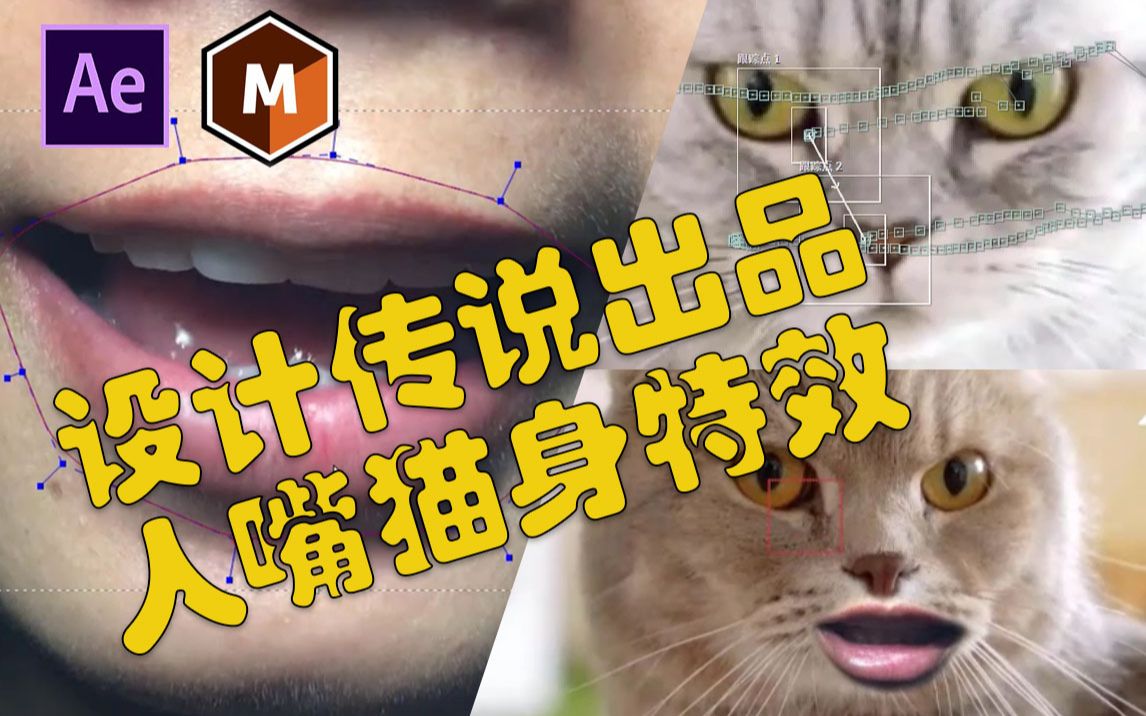 设计传说出品人嘴猫身合成特效ae结合mocha影视后期定制跟踪教程