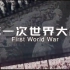 一口气看完 《第一次世界大战》+《第二次世界大战》完整版