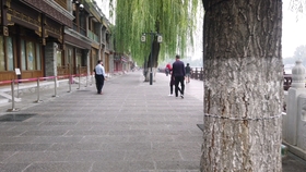 ae889a982585bcc063c366bdc513863d39e8d482.jpg@280w_158h_1c_100q.jpg