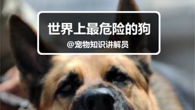 aeb4584c79a11219755abbde0f4a9410d883b284.jpg@280w_158h_1c_100q.jpg