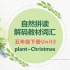 【自然拼读解码教材词汇】五年级下册Unit3 plant~Christmas视频