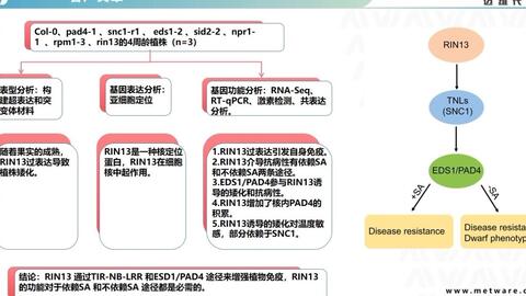 aed4d6338d2c54a584c97958ce2c63e0c9731763.jpg@480w_270h_1c