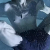 【男子柔术】水中背腿