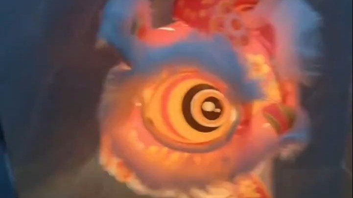 醒狮安装视频A款