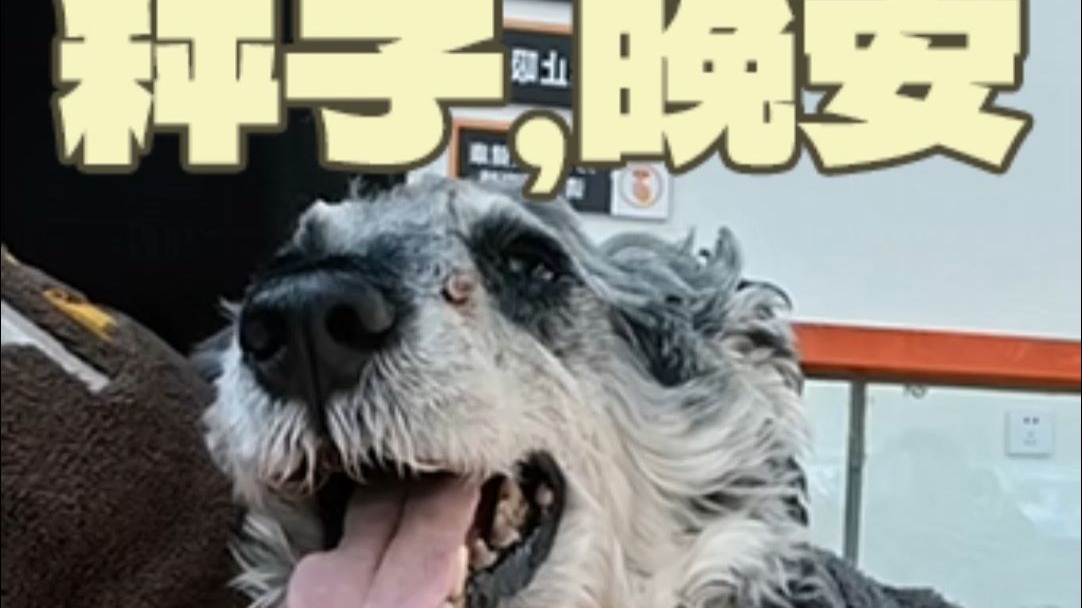 在生死面前，我再一次感受到了无力