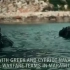 2021年3月美国海军海豹突击队同希腊、塞浦路斯海军特种部队进行演习