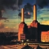 Pink Floyd  Animals专辑整轨 全网最高音质