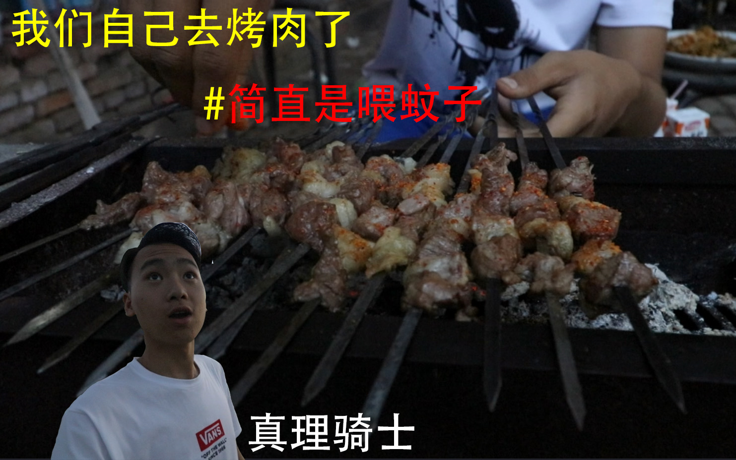 真理骑士我们自己去烤烤肉了其实是去喂蚊子了