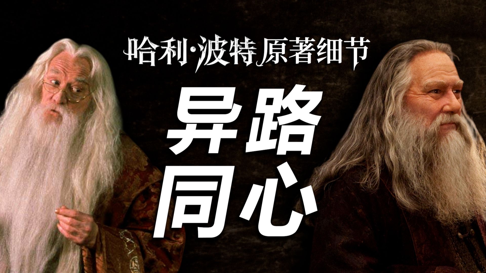 【HP】重返霍格莫德，听邓布利多讲述邓布利多的故事！|《死亡圣器》原著细节盘点【哈利波特十级学者】