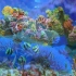 水族馆4K视频（超高清）? 美丽放松的珊瑚礁鱼-放松Sl.mp4