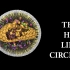 【3D动画】The HIV Life Circle / 艾滋病毒的生命循环