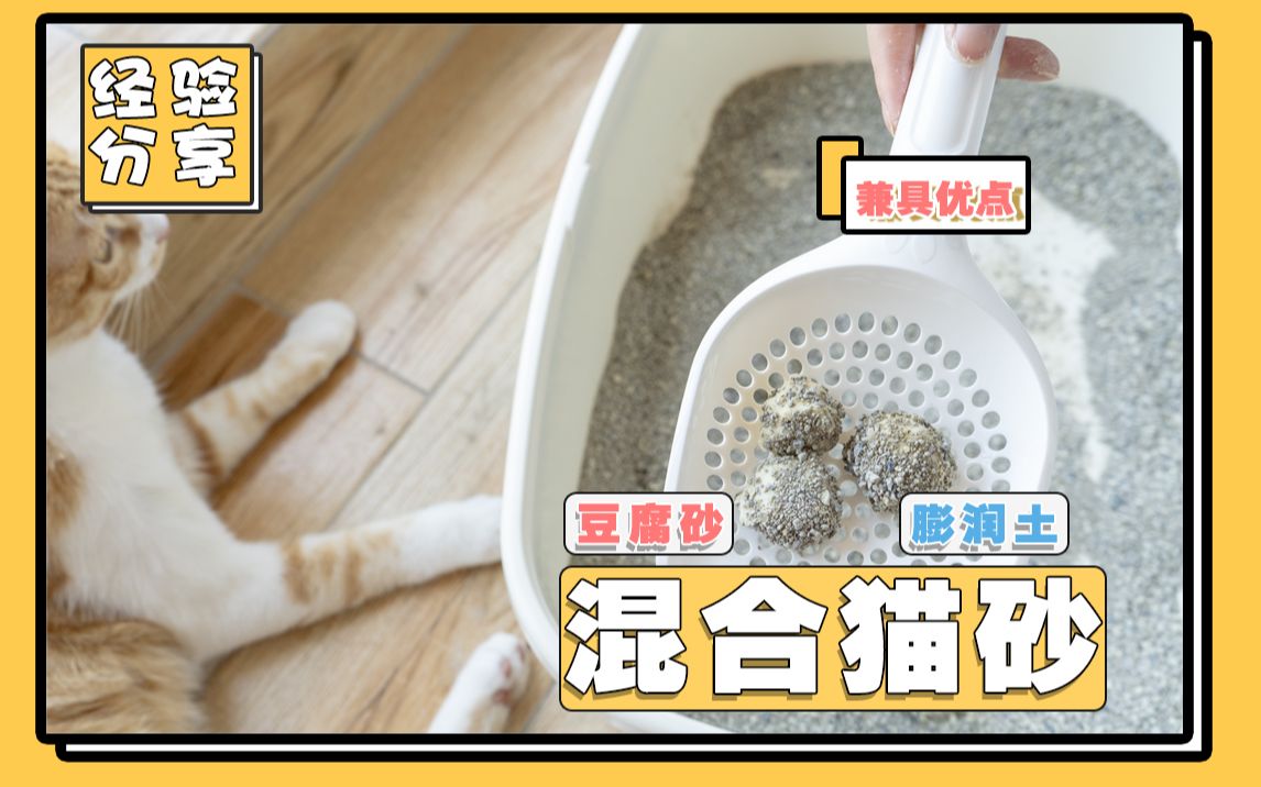 【养猫经验】猫砂为什么要混合使用？我们好好聊聊